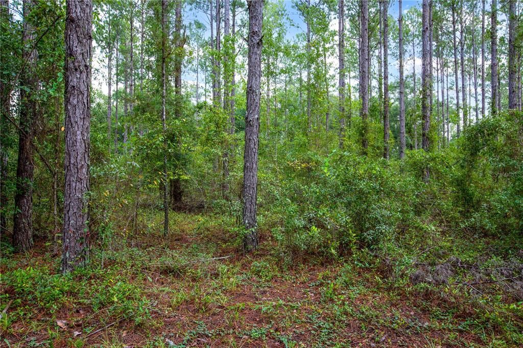 For Sale: $239,900 (4 beds, 2 baths, 2240 Square Feet)