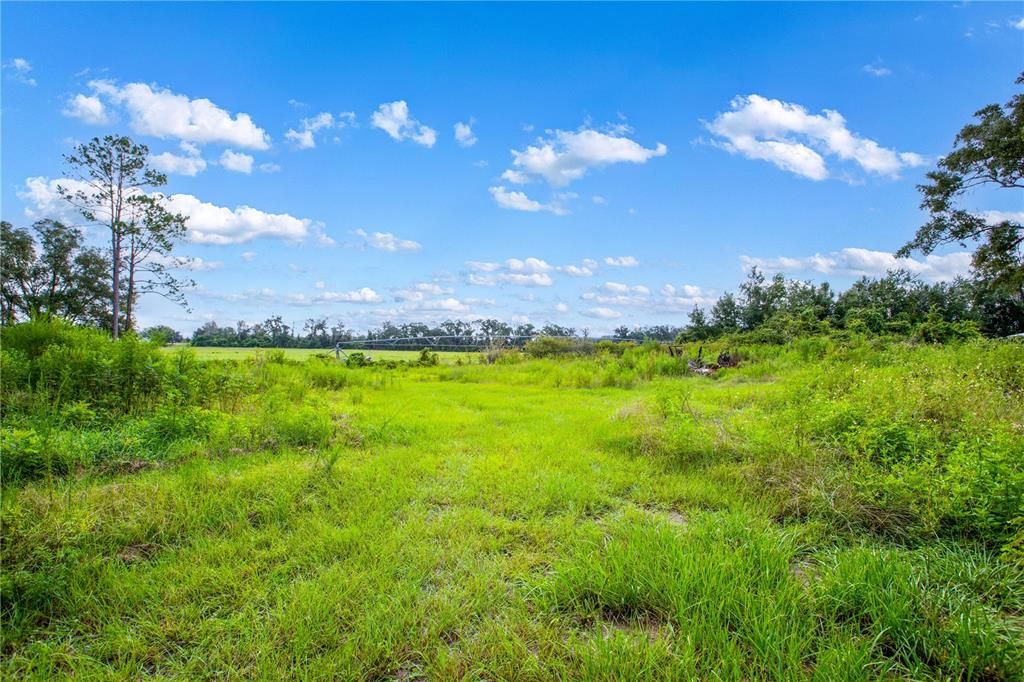 For Sale: $239,900 (4 beds, 2 baths, 2240 Square Feet)