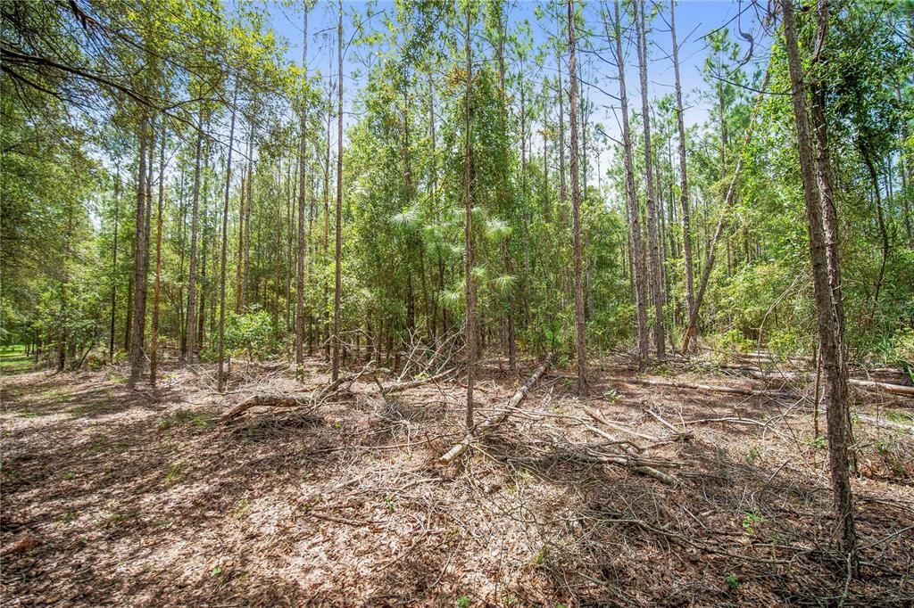 For Sale: $270,000 (15.64 acres)