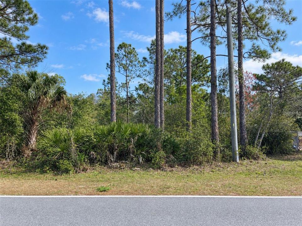 For Sale: $25,000 (2.00 acres)