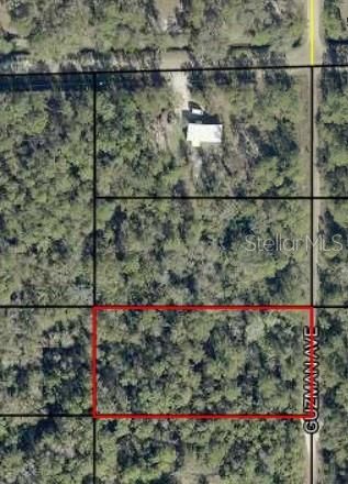 For Sale: $16,000 (1.25 acres)