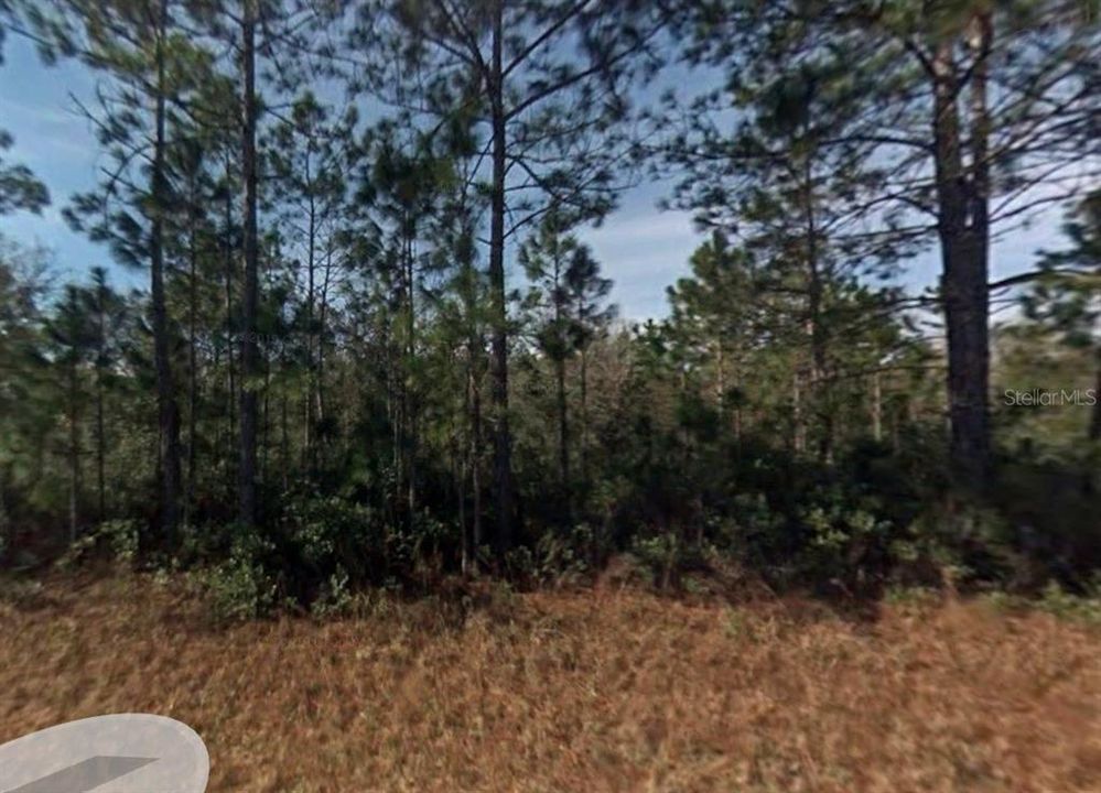 For Sale: $16,000 (1.25 acres)