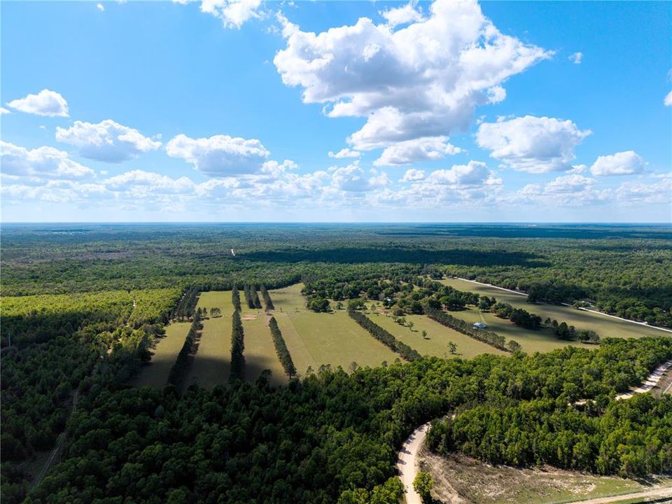 На продажу: $4,399,000 (391.00 acres)