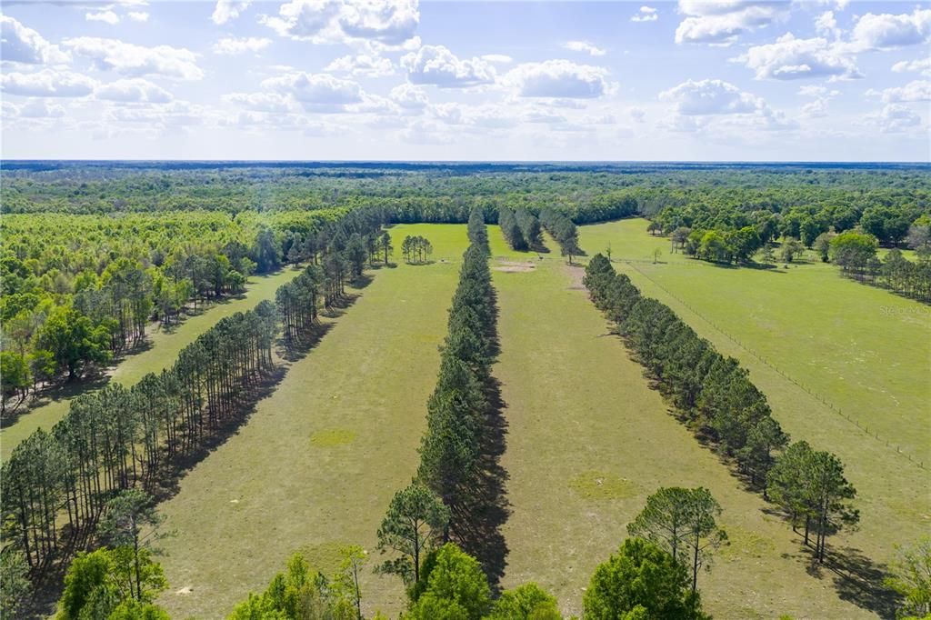 На продажу: $4,399,000 (391.00 acres)