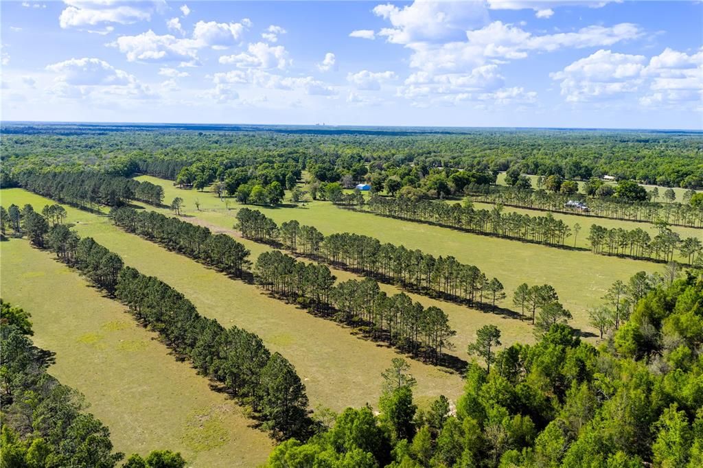 На продажу: $4,399,000 (391.00 acres)