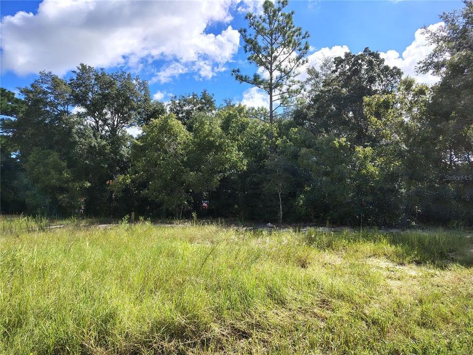 待售: $43,000 (0.62 acres)
