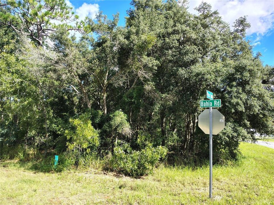 待售: $43,000 (0.62 acres)