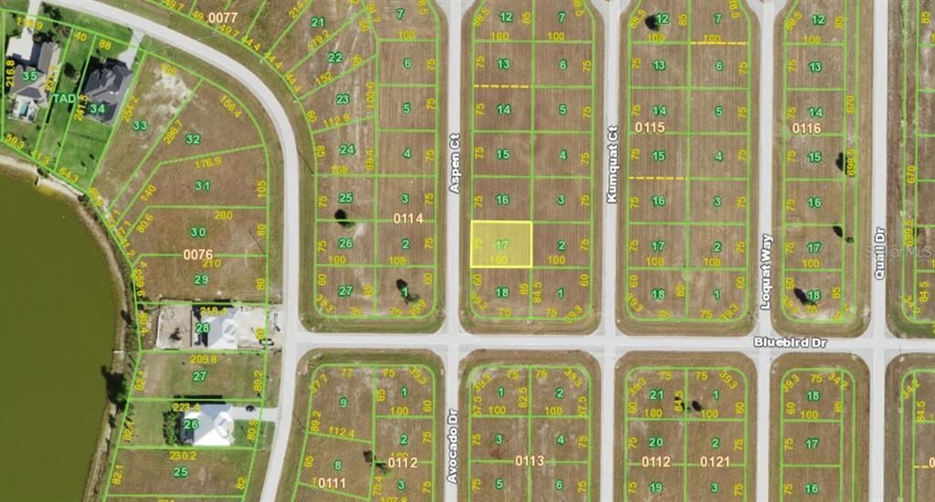 En Venta: $15,900 (0.17 acres)
