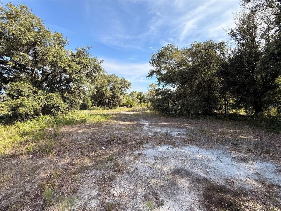 На продажу: $31,900 (1.25 acres)