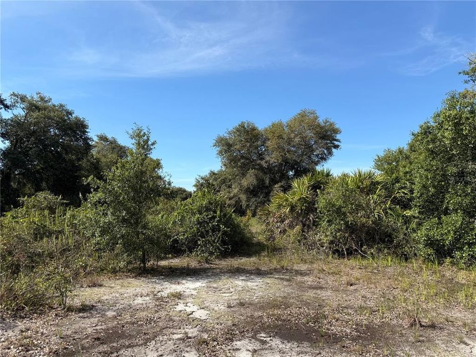 На продажу: $31,900 (1.25 acres)