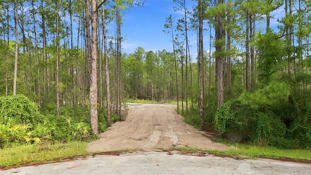 For Sale: $199,900 (2.56 acres)