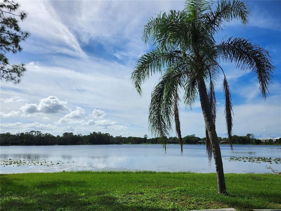 : $455,000 (3 camas, 2 baños, 1806 Pies cuadrados)