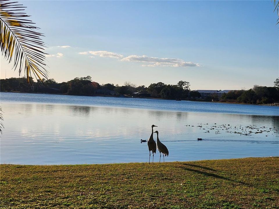 : $455,000 (3 camas, 2 baños, 1806 Pies cuadrados)