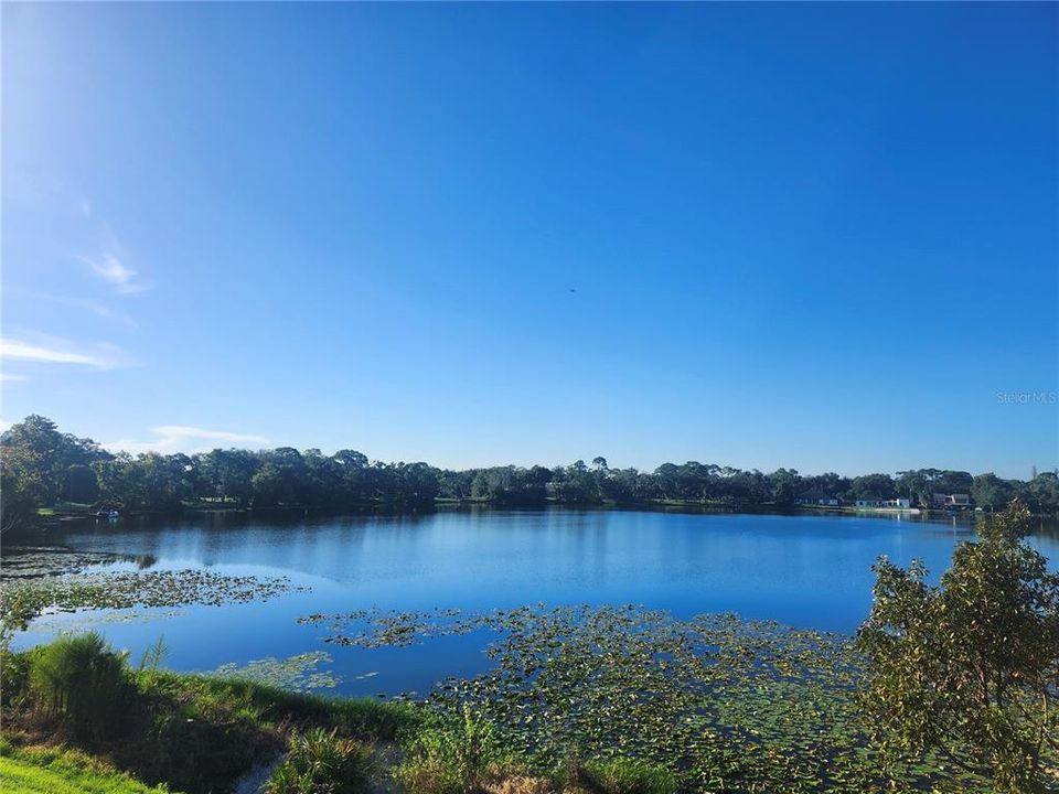 : $455,000 (3 camas, 2 baños, 1806 Pies cuadrados)