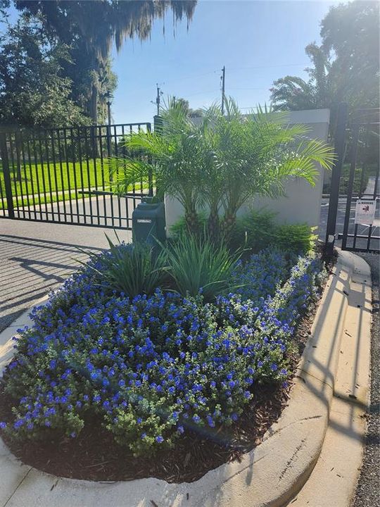 : $455,000 (3 camas, 2 baños, 1806 Pies cuadrados)