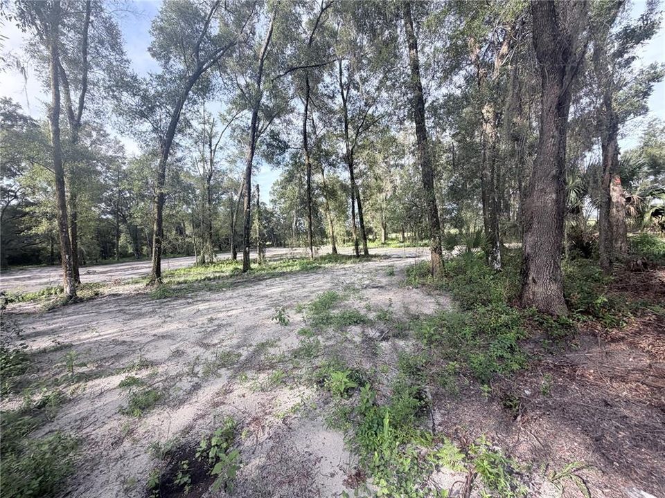 En Venta: $60,000 (1.25 acres)