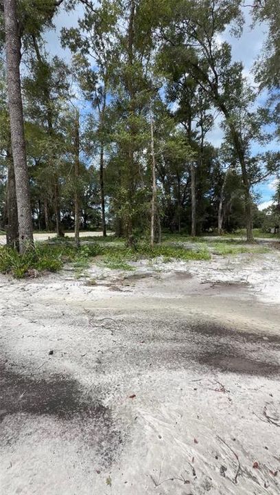 En Venta: $60,000 (1.25 acres)