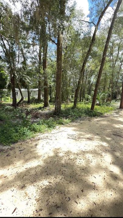 En Venta: $60,000 (1.25 acres)