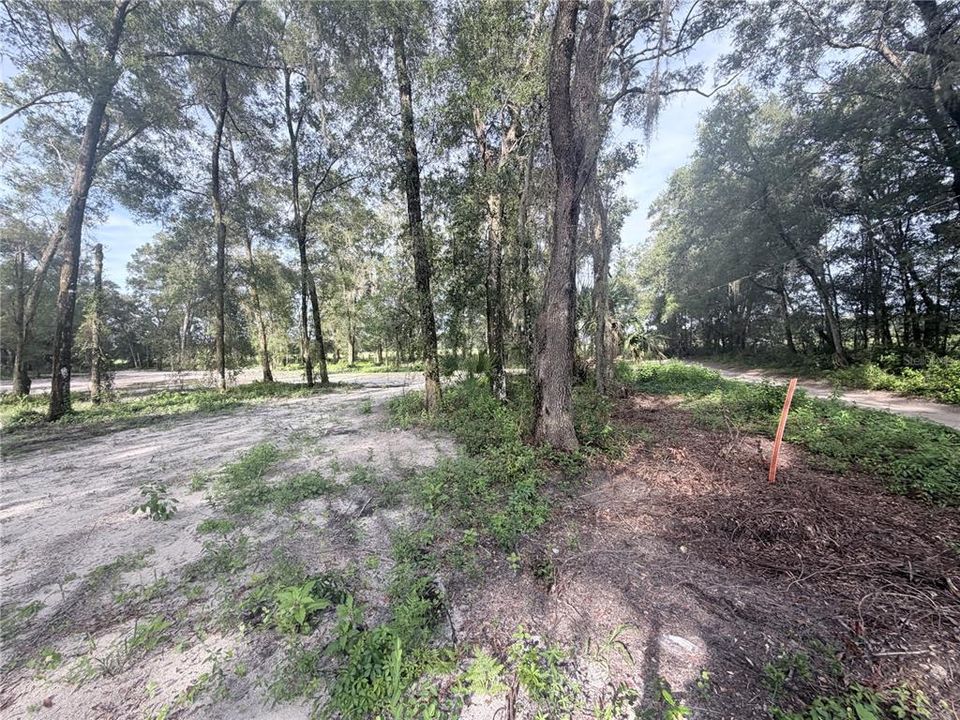 En Venta: $60,000 (1.25 acres)