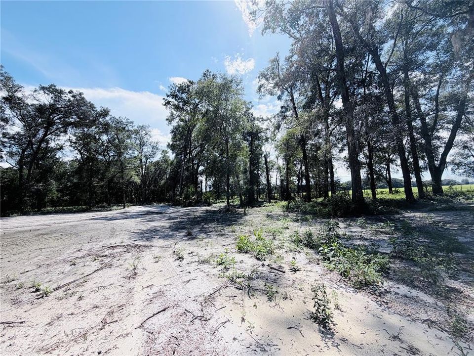 En Venta: $60,000 (1.25 acres)