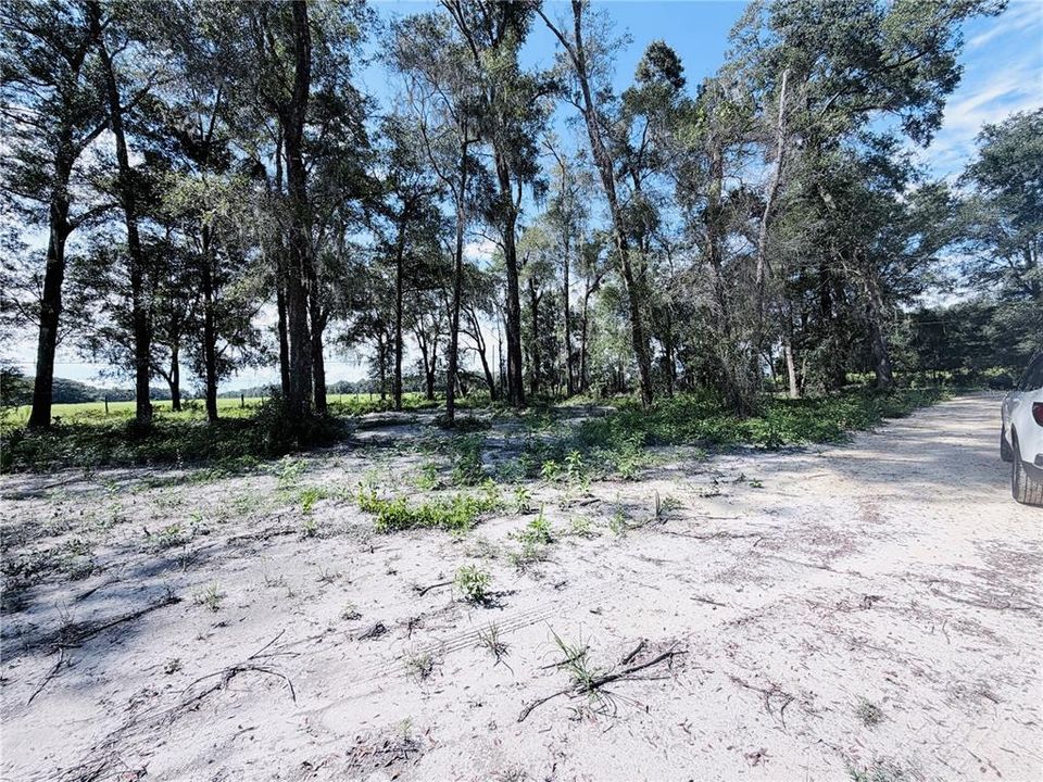 En Venta: $60,000 (1.25 acres)