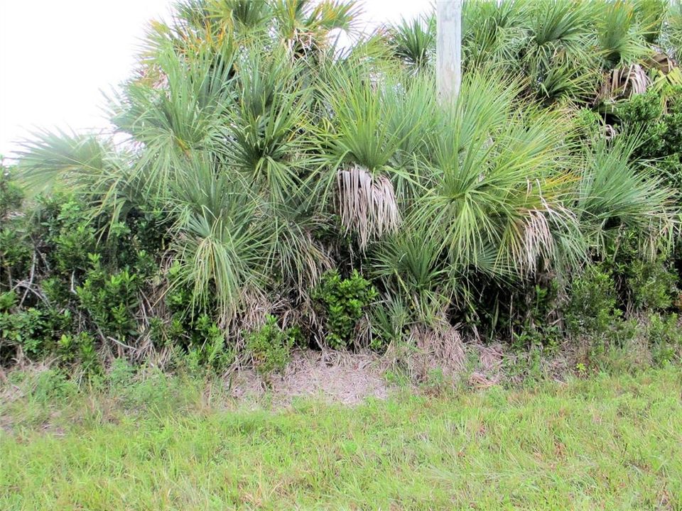 En Venta: $120,000 (0.23 acres)