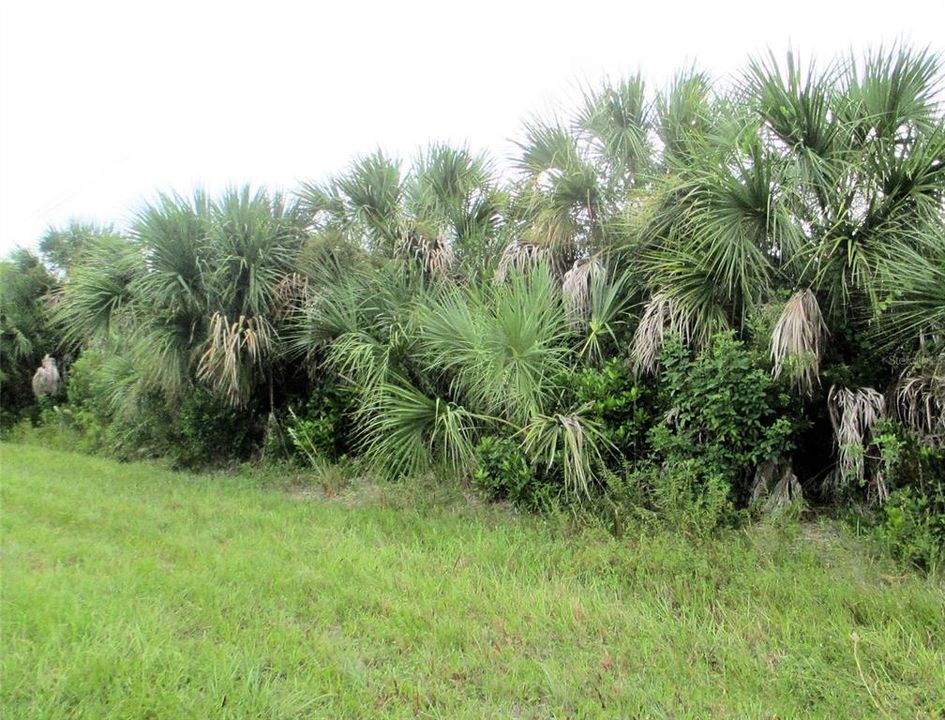 En Venta: $120,000 (0.23 acres)