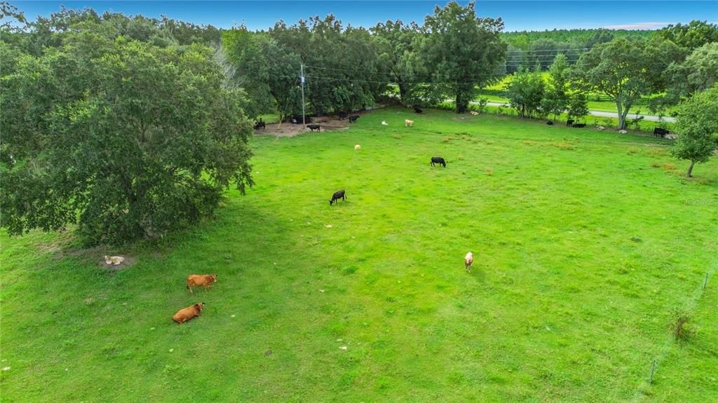 На продажу: $255,000 (10.00 acres)