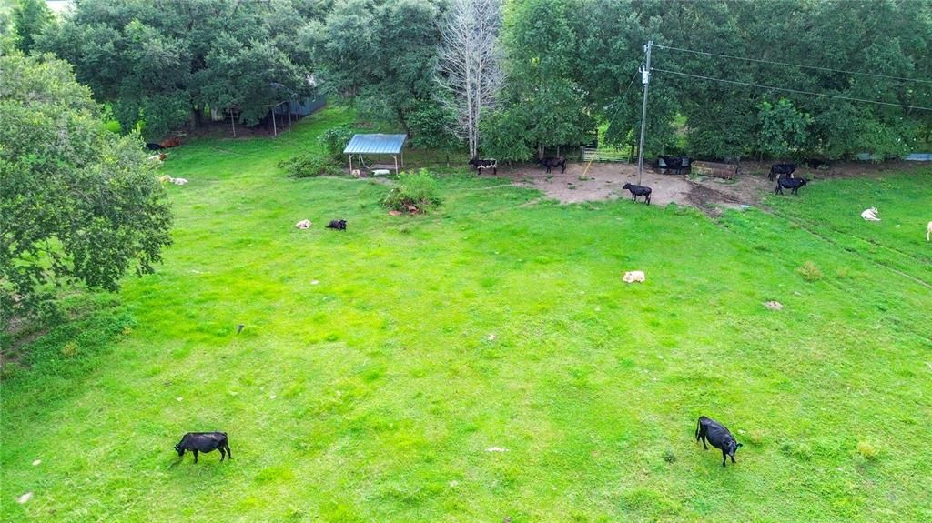 На продажу: $255,000 (10.00 acres)