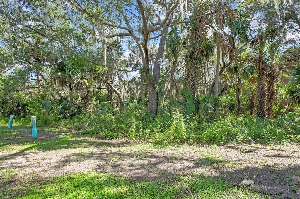 For Sale: $1,250,000 (19.71 acres)