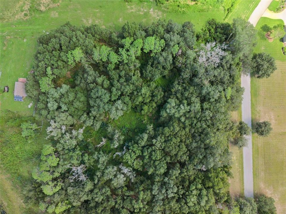 На продажу: $210,000 (3.30 acres)