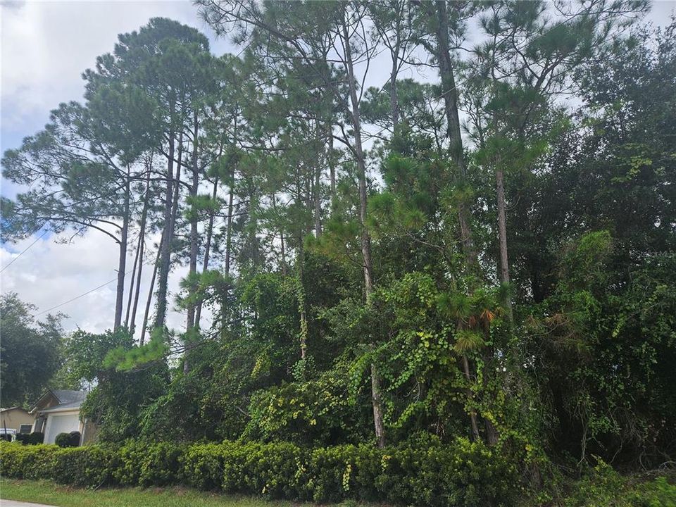 На продажу: $75,000 (0.28 acres)