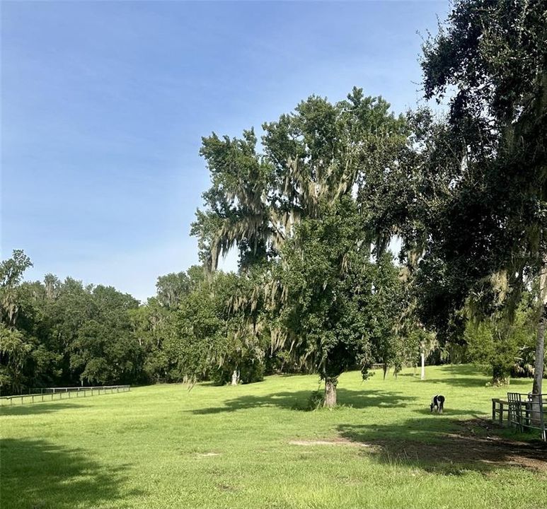 For Sale: $560,000 (2 beds, 2 baths, 1621 Square Feet)