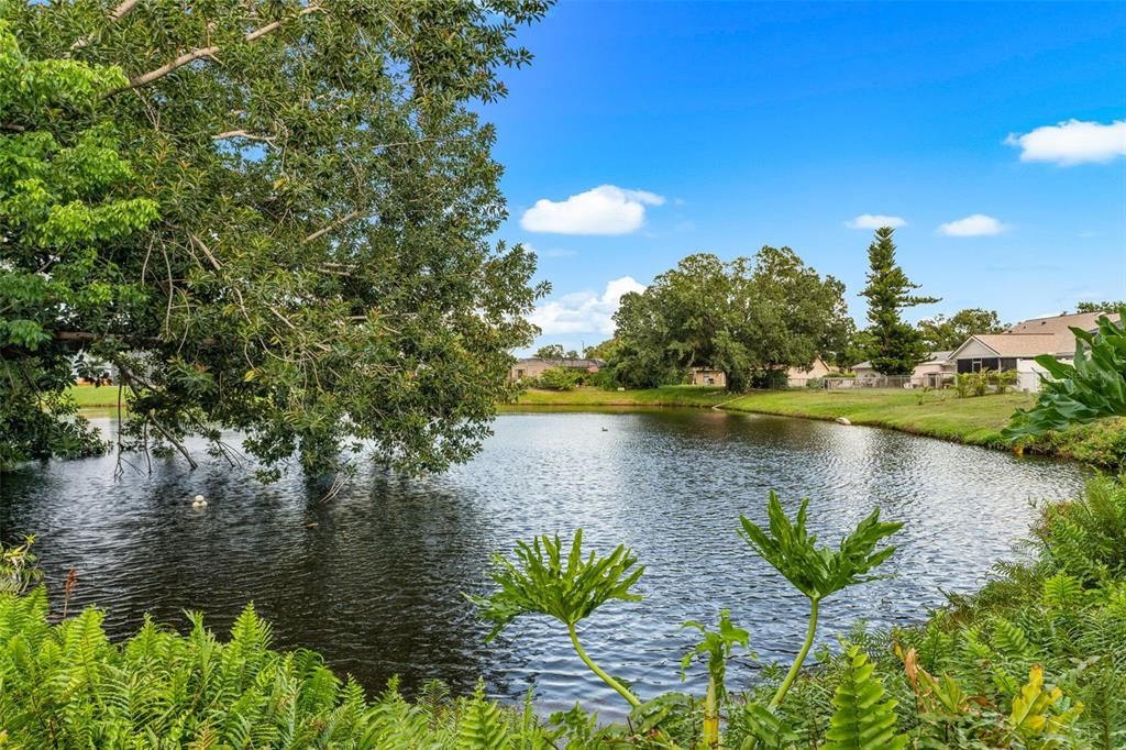 For Rent: $3,700 (4 beds, 3 baths, 2529 Square Feet)