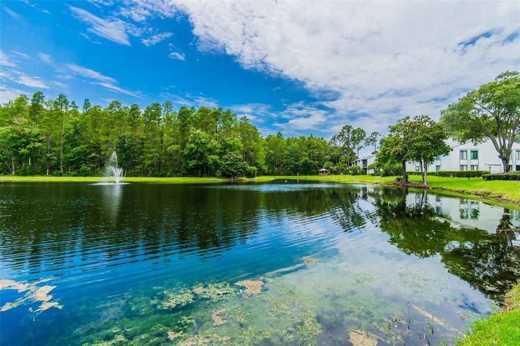 На продажу: $159,900 (2 спален, 2 ванн, 1041 Квадратных фут)