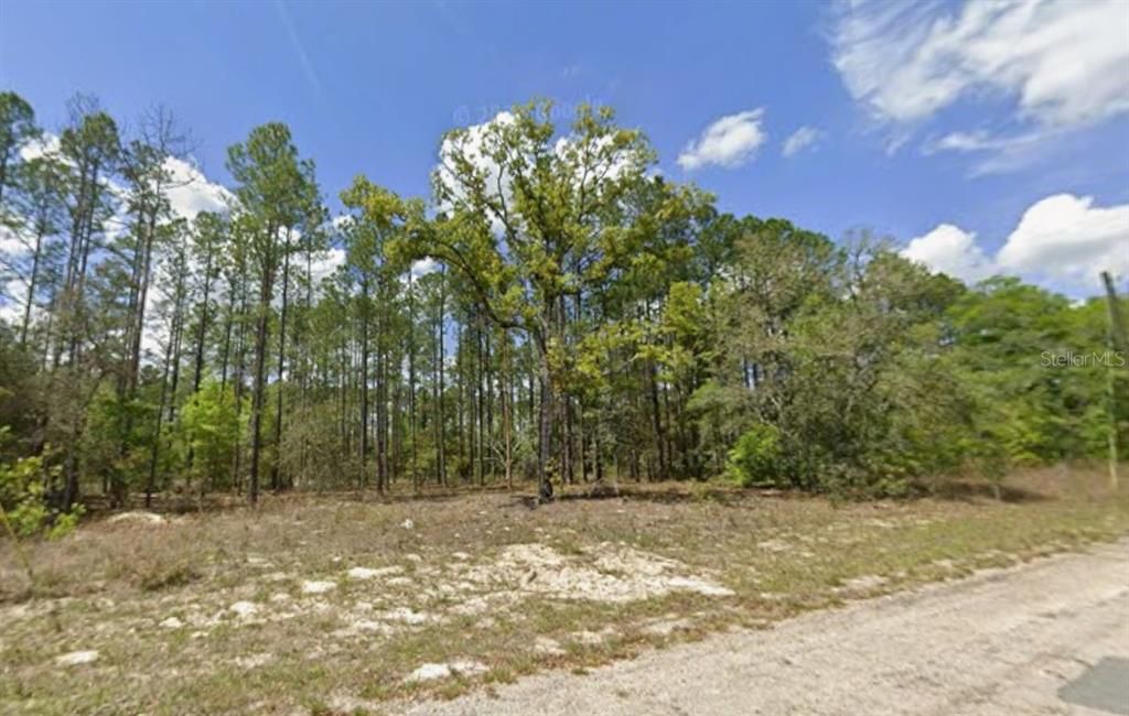 待售: $15,500 (0.24 acres)
