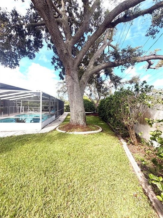 For Sale: $610,000 (4 beds, 2 baths, 1556 Square Feet)
