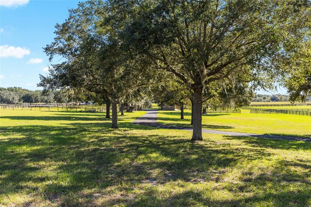 For Sale: $1,250,000 (4 beds, 5 baths, 4559 Square Feet)