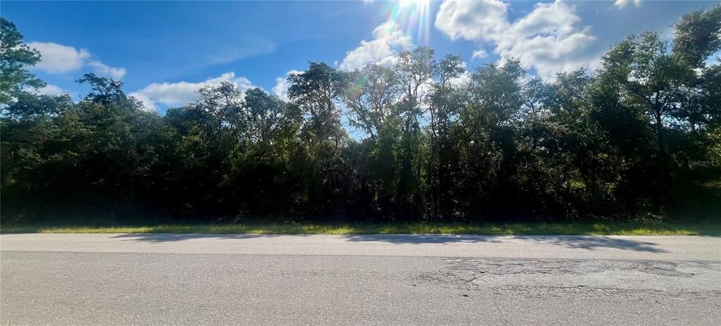 For Sale: $260,000 (18.02 acres)