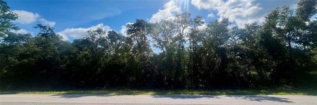 For Sale: $260,000 (18.02 acres)