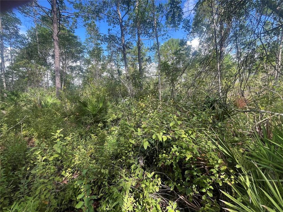 For Sale: $260,000 (18.02 acres)