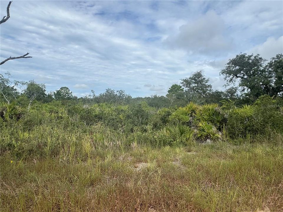 На продажу: $8,999 (0.23 acres)