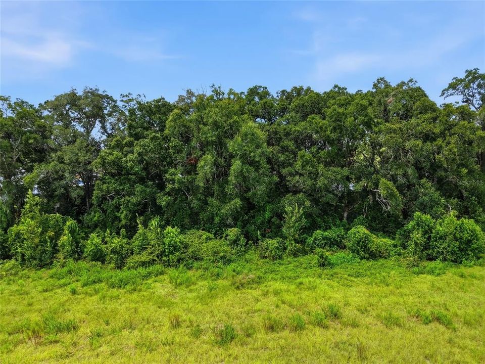 For Sale: $90,000 (1.40 acres)