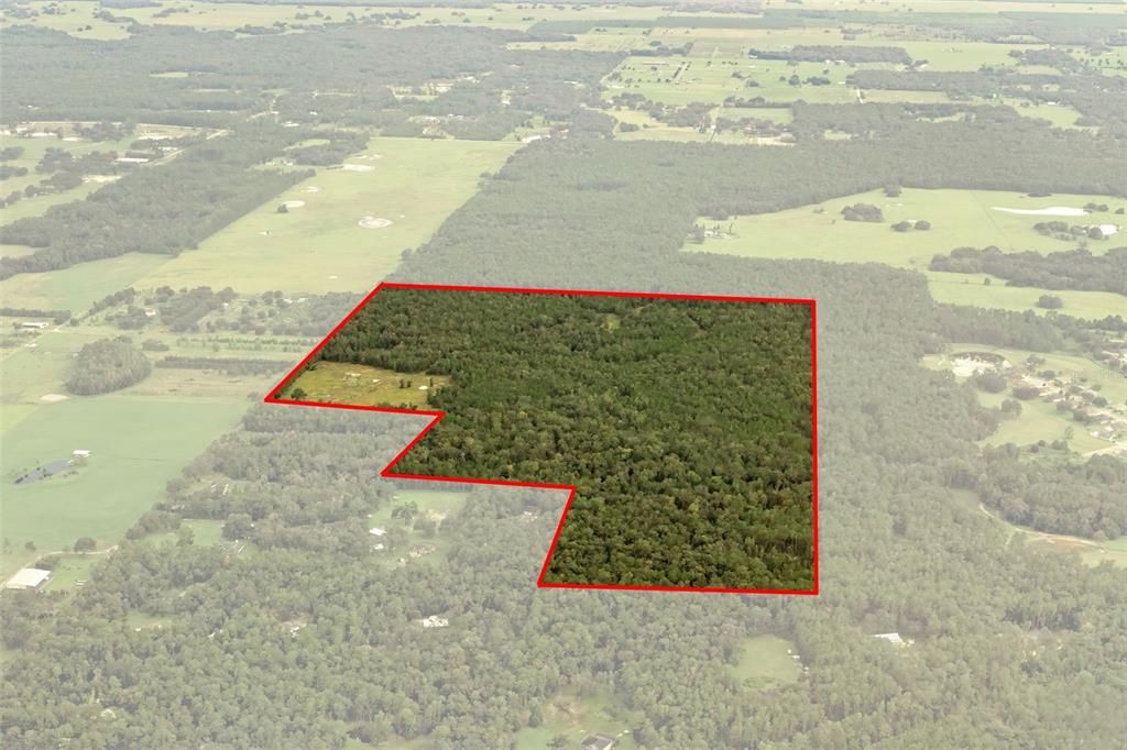 For Sale: $11,000,000 (125.00 acres)