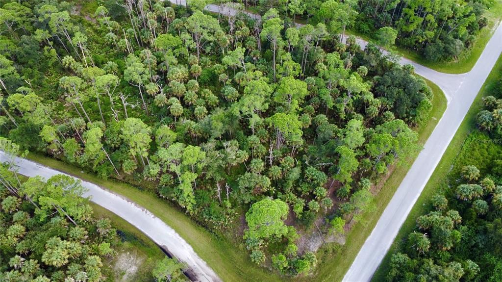 На продажу: $55,000 (0.51 acres)