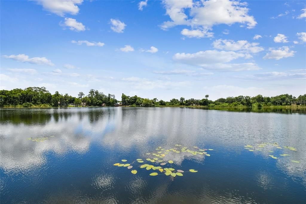 На продажу: $1,795,000 (4 спален, 4 ванн, 4952 Квадратных фут)