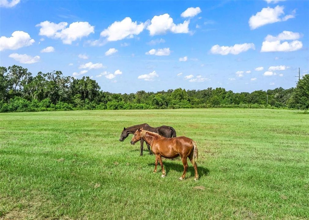 For Sale: $289,900 (10.00 acres)