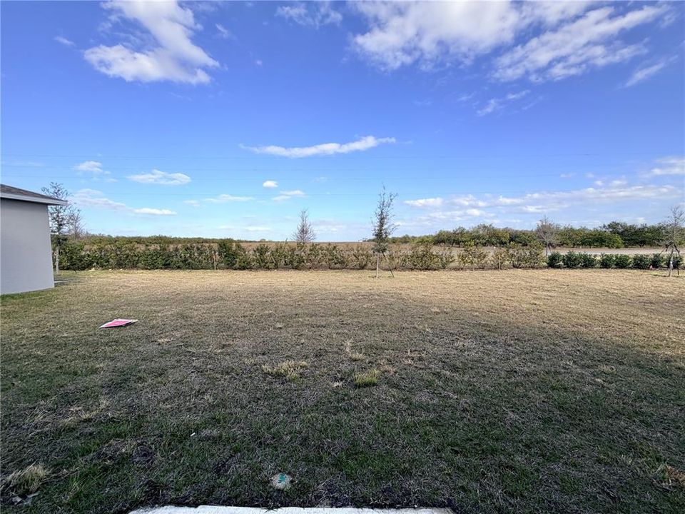 For Rent: $2,250 (5 beds, 3 baths, 2451 Square Feet)