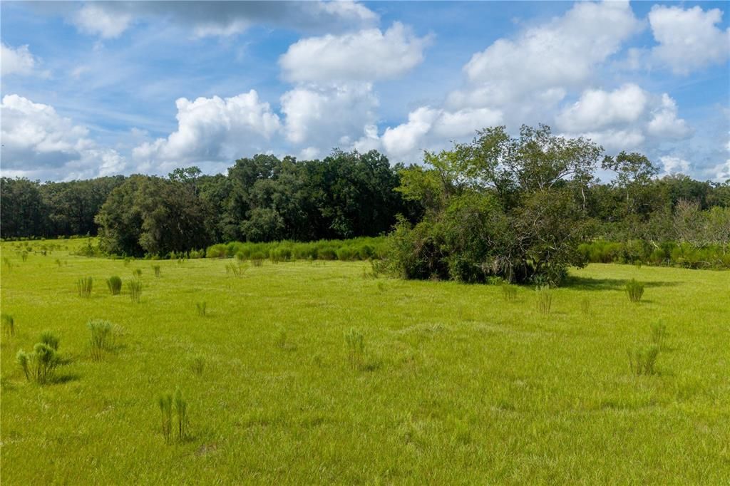 For Sale: $680,000 (35.78 acres)