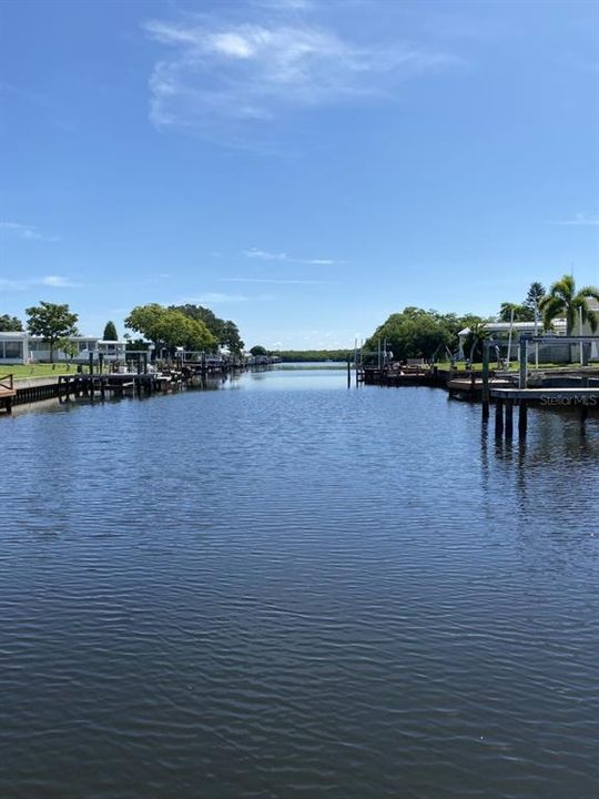 For Sale: $39,999 (117.26 acres)